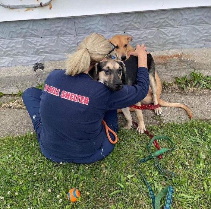 Make A Difference Rescue - Metro Detroit 501c3 No Kill Dog Rescue ...